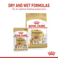 ROYAL CANIN® Pomeranian Adult Dry Dog Food -Dog Featured Sales f0yuuxyudijj1skmig9g