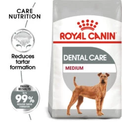 ROYAL CANIN® Medium Dental Care Adult Dry Dog Food -Dog Featured Sales fbusn6i6t32sufprd3v7