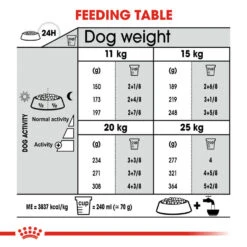 ROYAL CANIN® Medium Dental Care Adult Dry Dog Food -Dog Featured Sales fqghyqetnzqp2gpevati