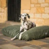 Lords & Labradors Bamboo Drying Cushion Cover Fir -Dog Featured Sales green bed 001