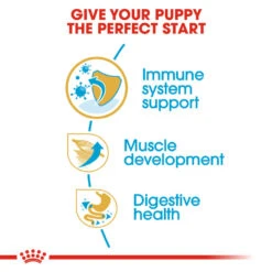 ROYAL CANIN® Boxer Puppy Dry Food -Dog Featured Sales jmonkaj4vtdemvzuhrqh
