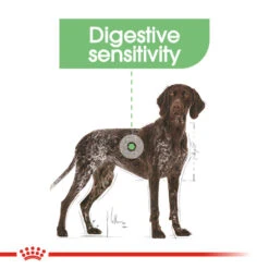 ROYAL CANIN® Maxi Large Breed Digestive Care Adult Dry Dog Food -Dog Featured Sales jscsizcgelm5eynlszqg