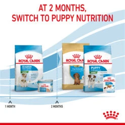 ROYAL CANIN® Mini Starter Mother & Babydog Adult And Puppy Dry Food -Dog Featured Sales k65vehotjt62kgi4hojz