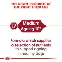 ROYAL CANIN® Medium Ageing 10+ Senior Dry Dog Food -Dog Featured Sales krfhnimczhfbrvmjzfjr