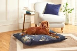 Laura Ashley Rosemore Deep Duvet -Dog Featured Sales lhlocug0