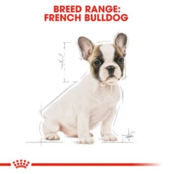 ROYAL CANIN® French Bulldog Puppy Dry Food -Dog Featured Sales mgc5ih9afooc5fcyoamt