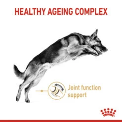 ROYAL CANIN® German Shepherd Adult 5+ Dry Dog Food -Dog Featured Sales nweoj058vrslgcrebyqf