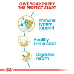 ROYAL CANIN® Golden Retriever Puppy Dry Food -Dog Featured Sales ornhrgcaz5munugptfaa 1