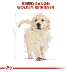 ROYAL CANIN® Golden Retriever Puppy Dry Food -Dog Featured Sales owsjb2jiujk1hxumiovn