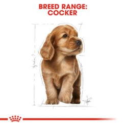 ROYAL CANIN® Cocker Puppy Dry Food -Dog Featured Sales pd7xekocohldn3uanlsf