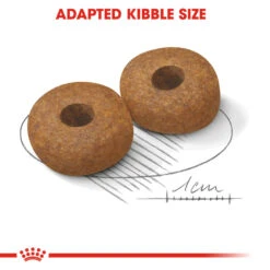 ROYAL CANIN® Medium Ageing 10+ Senior Dry Dog Food -Dog Featured Sales ponc3feaejcjdhxrzbpv