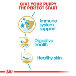 ROYAL CANIN® French Bulldog Puppy Dry Food -Dog Featured Sales q1y8yxh2dnfym1h9jgey
