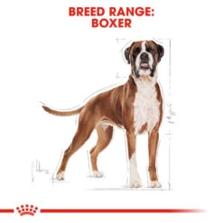 ROYAL CANIN® Boxer Adult Dry Dog Food -Dog Featured Sales rij0p1rx3xuibkuuy5ls