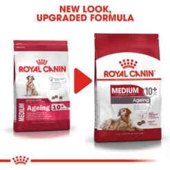 ROYAL CANIN® Medium Ageing 10+ Senior Dry Dog Food -Dog Featured Sales rsypyvlhikkecjfzig6o