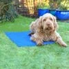 Rosewood Pet Cool Dog Mat -Dog Featured Sales s l500