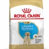 ROYAL CANIN® Labrador Retriever Puppy Dry Food -Dog Featured Sales wakoes9u7znthjefyjzm