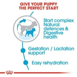 ROYAL CANIN® Mini Starter Mother & Babydog Adult And Puppy Dry Food -Dog Featured Sales wlqwolcnlqa9dlv0eb40