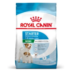 ROYAL CANIN® Mini Starter Mother & Babydog Adult And Puppy Dry Food -Dog Featured Sales ww9w9cp2rhzagu0k9uqn