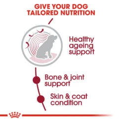ROYAL CANIN® Medium Ageing 10+ Senior Dry Dog Food -Dog Featured Sales y2jeuguj6jtawgajjwt9