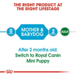 ROYAL CANIN® Mini Starter Mother & Babydog Adult And Puppy Dry Food -Dog Featured Sales yewntgxrcfsekppcpjqd