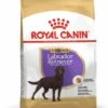 ROYAL CANIN® Labrador Retriever Sterilised Adult Dry Dog Food -Dog Featured Sales znemk1ygqoajt93ee6jb