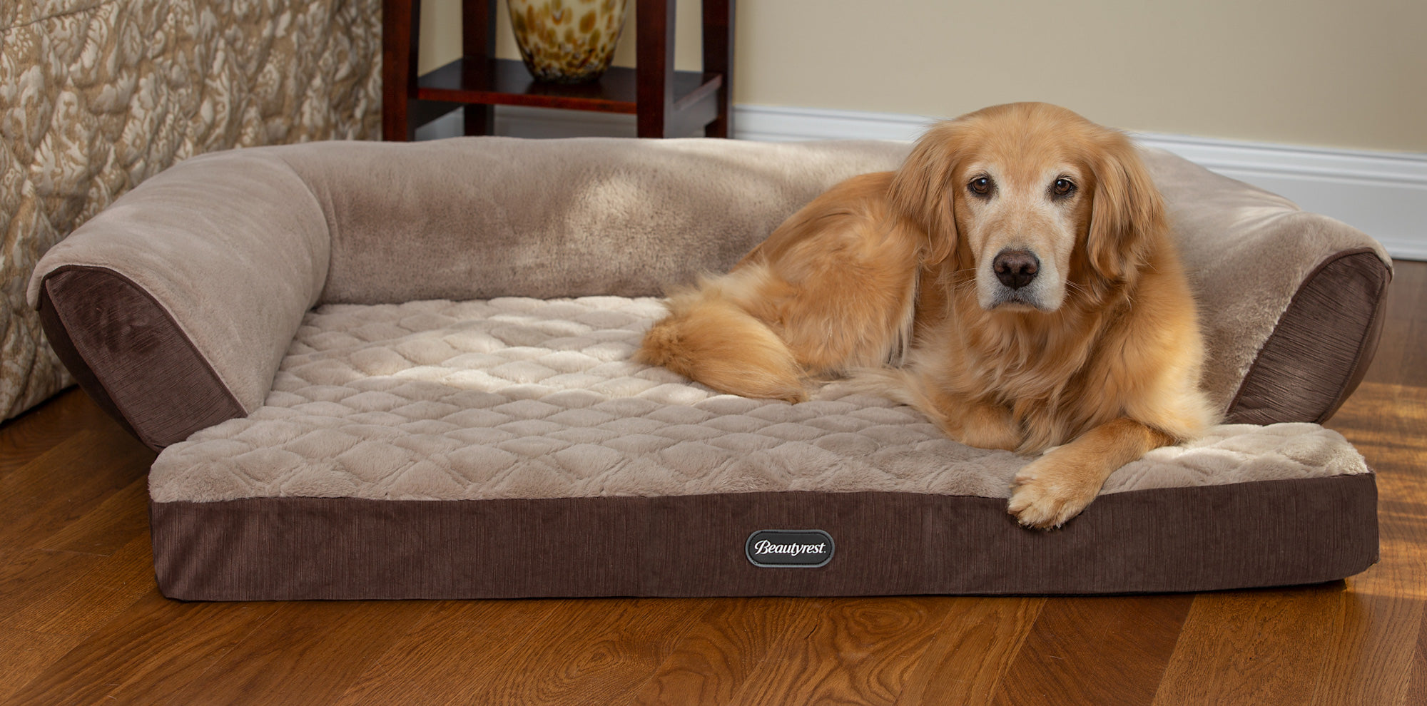 Dog Featured Sales -Dog Featured Sales beautyrest petbeds